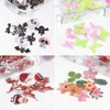 12 griglia Nail Art Design legno Pulp Chips Nail Ornamenti di natale di Halloween misto della decorazione DIY di Natale manicure Accessori