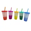 700ml Zmiana kolorów Cups 24oz Color Cups Kolor Zmiana Tumbler ze słomy Ecofriendly Kubek Tubler Travel Cold Cups Sea Shipping Rra3646