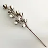 10 Kopf Neues Pampasgras DIY Getrocknete Natürliche Baumwollzweige Baumwolle Echte Pflanzen Hause Hochzeit Dekoration Blumenstrauß Ornamente255O