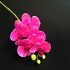 Dobra Jakość Phalaenopsis Orchidea Kwiat Prawdziwy Dotykowy Motyl Orchidea Fałszywe Orchidea Sztuczny Orchidea Kwiat Do Dekoracji Ślubnej Hurtownie