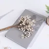 Bos van Plastic Natuurlijke Tallow Berry Gedroogde Witte Tak voor Home Wedding Christmas Flower Core Accessoires Fake Plant1