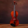 violon adulte