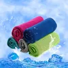 Cool towel outdoor cooling artifact cold towel cold fabric quick drying adult children sports ice towel 30*80cm T50097