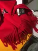 2020 Fashion Winter embroidery Scarf Luxury Women and Men Two Side Black Red Cashmere Scarfs Designer Scarves and Shawls gift6630138