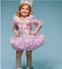 Прекрасный Иден Вуд розовых Детских малышей Pageant платье для девочек Glitz Стразов бальных Розовых Пернатых Детей платье партии