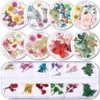 Verkauf von 1 Box 3D-Nagelkunst-Dekorationen, rosa, gelb, lila, bunt, konservierte, frische, getrocknete Blumen, DIY-Design-Zubehör, Na7689602