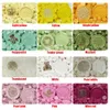 Gekleurde afdichtingswaskralen voor postzegelwasafdichting 78 kleuren0125124286
