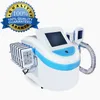 Le poids de la cryothérapie professionnelle réduit la machine de cavitation ultrasonique Lipo Laser Rf Cryolipolysis Machine de congélation des graisses Équipement de salon de beauté