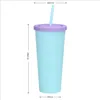Tumblers Double Wall Plastic Cup Solid Candy Vacuum Temperature Tumblers Mug Straw Skinny Tumbler with Lid Coffee Water Bottle Mugs LSK840