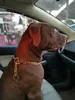 15 mm breite Edelstahl-Hundekette, Metall-Trainingshalsbänder für Haustiere, Dicke, Gold, Silber, Slip-Hundehalsband für große Hunde, Pitbull, Bulldogge