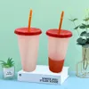 700ml Color Changing Cups 24oz Cold Cups Color Changing Tumbler With Straw Ecofriendly Coffee Tumbler Travel Cold Cups SEA SHIPPING RRA3646