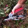 Tesouras de poda de jardim ferramentas secateurs ferramentas de poda de árvores de fruto bonsai ramo podadores jardinagem secateurs trimmer tools3014245