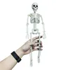 Nouveau modèle de squelette humain actif anatomie squelette modèle de squelette apprentissage médical décoration de fête d'halloween croquis d'art