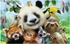 Custom photo wallpapers for walls 3d mural Cute cartoon zoo group of animals mural for children room background wall papers home decoration