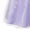 Girl Dress Wedding Princess Sofia Costume Cartoon Cosplay Party Ball Gown Children Children039S Day Presentkläder Fyller Robe ZL 0923622958