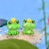 Cartoon Frog Miniature Ornement Figurine Doll Toy Kids Gift Moss Terrarium Micro Landscape Accessoires Fairy Garden Diy DollHuose 5070798