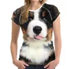 MOZOEYU lustige Muster T Shirts Frauen Kawaii 3D Berner Sennenhund Druck Weibliche Sommer-T-Shirts Harajuku Kurze Tops Tees