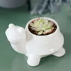 Potenciômetro de flor de cerâmica Planta suculenta animais forma plantadores potes vaso para casa escritório jardim desktop decoração bonsai y200723