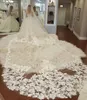 2020 Sequins Bridal Weiols Appliques Кружева кромки Один слой Блушера Вуаль Изготовлена ​​на заказ Длинные Туль Свадебные вуаль