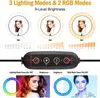 10 tum LED Färgglad dimbar ringljuslampa med stativstativ USB Selfie Light Ring RGB Ringlight TikTok Vlogging Foto Telefon Video Light