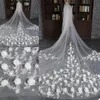 2020 Nya bröllopslöjor Katedrallängd Bridal Veils Lace Edge med Combs Appliqued 3M Long Customized Flower Veil