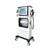 7 in 1 Hydra Facial Machine Ultrasonic RF BIO Hydra Co2 Oxygen Hydrofacial Microdermabrasion Machine