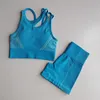 Sneldrogende 2-delige gymset Trainingskleding Dames Sportbeha + Naadloze fitnessshorts Sportkleding Gymkleding Atletische yogaset