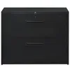 EU Stock 2 arquivo gavetas Black 2 Drawer TREXM Nightstand bloqueável Heavy Duty Lateral arquivo de gabinete de metal WF192106BAA