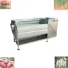 stainless steelHot selling cassava peeler machine with brush / lotus root brush cleaning and peeling machine vegetable cleaning peeling mac