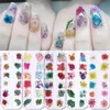 Verkoop van 1 doos 3D Nail Art Decoraties Roze Geel Paars Nagel Kleurrijke Geconserveerde Verse Gedroogde Bloemen DIY Ontwerp Accessoires Na1422904