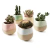 5 in Set 22 Inch Container Planter Ceramic Flowing Glaze Five Color Base Serial Set Succulent Plant Pot Cactus Flower Pot Gift Y29706908