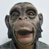 1pcs realistische Orang -Utan -Latexmasken Vollgesicht Tier Monkey Maske Scary Maske Halloween Party Cosplay Requent