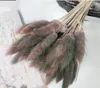 50pcs/lot Natural Gradient Dried Flowers Bridal Bouquet Easter Home Decorations Rabbit Tail Grass Easter Decorations