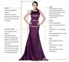 A Line Empire Waist Tulle Evening Dresses Deep V Neck Sleeveless Pleated Prom Gowns Plus Size Purple Abendkleider