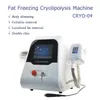 New arrival portable cryolipolysis fat freeze body slimming machine for fat reduction with cryolipolysis handle for double chin