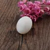 Shell Brooch Men Women brooch crystal Pin Jewelry broche for Male Top Quality wholesale