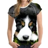 MOZOEYU lustige Muster T Shirts Frauen Kawaii 3D Berner Sennenhund Druck Weibliche Sommer-T-Shirts Harajuku Kurze Tops Tees