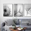 Pinturas Dandelion Flower Canvas Pintura Moderna Preto Branco Arte Fotos para Decoração de Casa Sala de estar Abstrata Poster No8809275