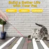 USB Laser Light LED PIN ze stali nierdzewnej mini -ładowalne multipattern 3 w 1 Trening PET