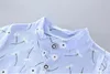 Set Summer Cotton Cotton Neworn Beaby Boys Одежда 2PCS, покрытые хризантеммной рубашкой для детской одежды для 02 -летнего 3100297