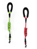 night lighting 8 Colors Dog Leash Reflective Durable Nylon Rope Pet Good Quality for Large & Small Dogs Cat Pets