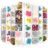 Nagelklistermärken verkliga naturliga torkade blommor naglar konstpaket leveranser 3D Applique Manicure Decoration Sequin Glitter DECALS FÖR TIPS DE6288218
