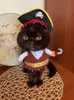 Komik kedi kıyafetleri korsan takım elbise kıyafetleri için kostüm kıyafetleri corsair cadılar bayramı kıyafetleri giyinme kedi parti kostümü takım elbise
