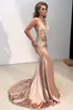 New Beautiful Lace Appliques Backless VNeck Spaghetti Straps Champagne Formal Evening Gowns Satin Mermaid Prom Dress2922180