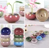 Garden Supplies Practical Round Ceramics Pot Breathable Mini Planters For Home Desktop Succulent Plants Flowerpot