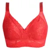 Women's Full Cup Plus Size Bras Non Padded Cotton Brassiere Unlined Lace Bralette Wireless Minimizer Bras Lingerie BH1202V