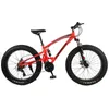 mountainbike bmx