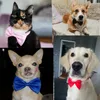 50pcs 19 renk ayarlanabilir kayış evcil köpek papyon boyun aksesuar kolye yaka yaka yavru parlak renk kedi tavşan pet kedi yay bowtie karışımı renk.