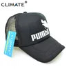 Casquettes de baseball climat hommes femmes camionneur drôle Pumba Cool été mignon Homme Lion roi Baseball maille filet casquette chapeau