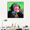 Wall Art Diamond Haft Haftery Zwierzęta krzyżowe Zestaw Diamond Malarstwo Monkey Rhinestone Pictures DIY Diamond Mosaic Full Layout1658047